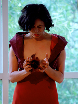 Historias de una hiena vacÃ­a de Edgar ChÃ­as se presenta en el Teatro HelÃ©nico