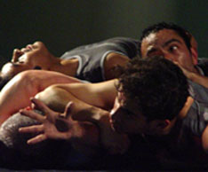 DÃ­a Internacional de la Danza 2008: Tierra Independiente