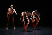 UNAM DÃ­a Internacional de la Danza: Arkanum