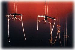 UNAM DÃ­a Internacional de la Danza 2008: Humani Corp