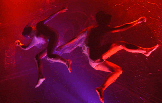 Fuerzabruta la adrenalina convertida en espectÃ¡culo